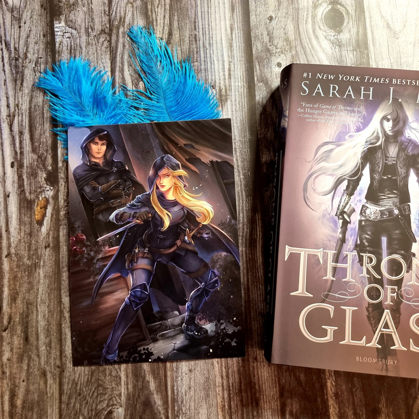 Adarlan’s Assassins - OFFICIALLY LICENSED - premium print